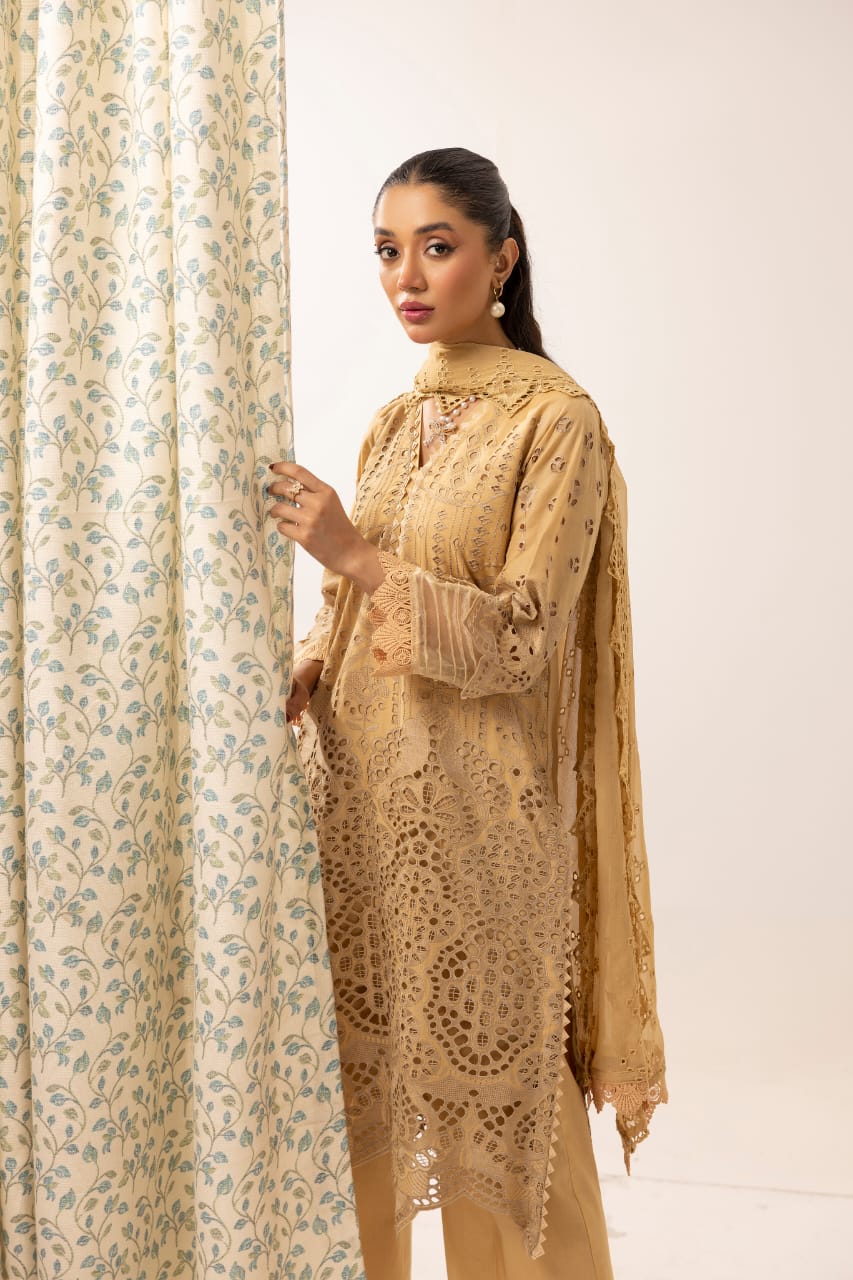 Raeen - Unstitched 3pc