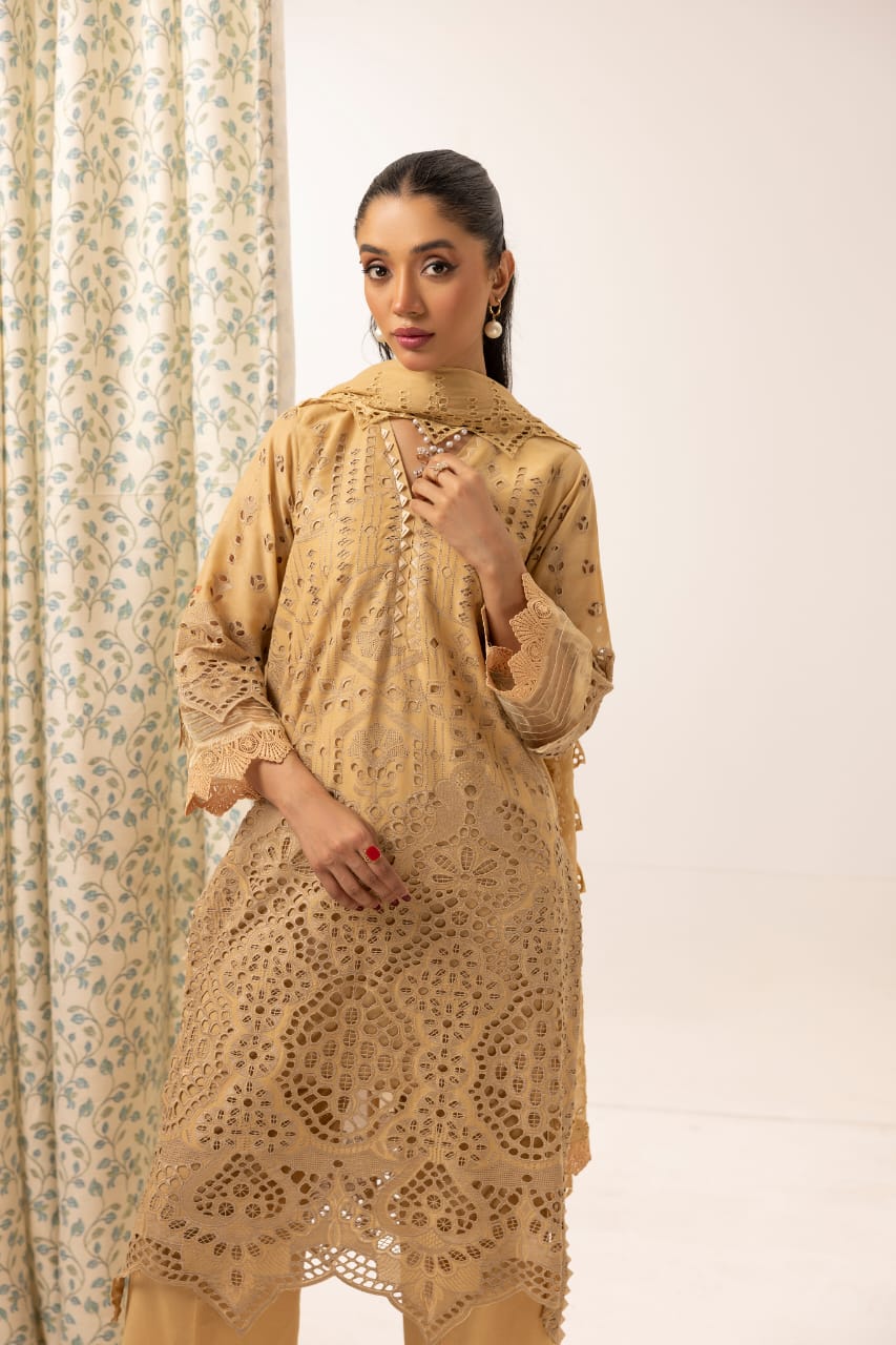 Raeen - Unstitched 3pc