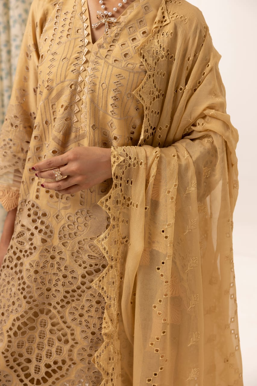 Raeen - Unstitched 3pc