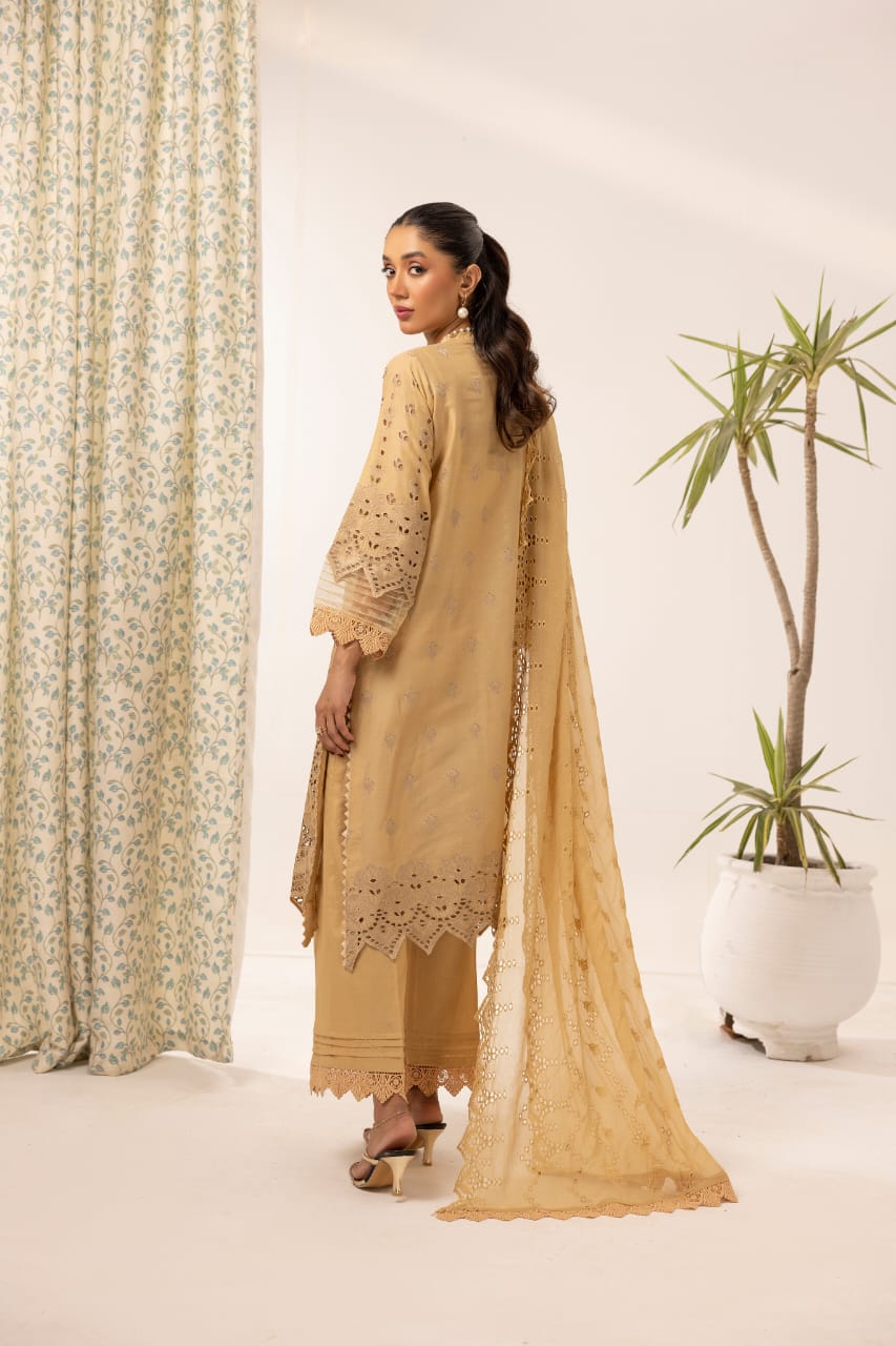 Raeen - Unstitched 3pc