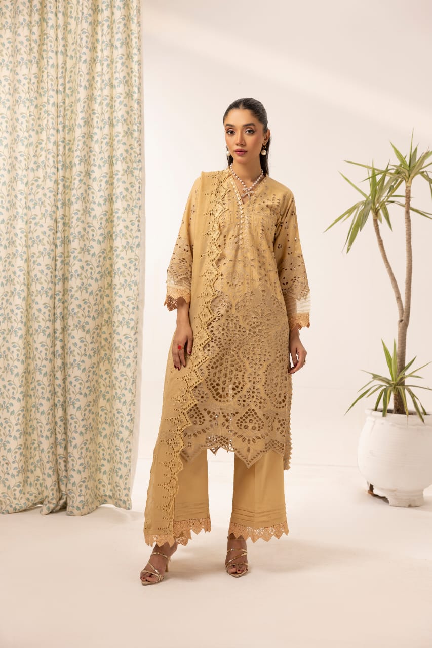 Raeen - Unstitched 3pc