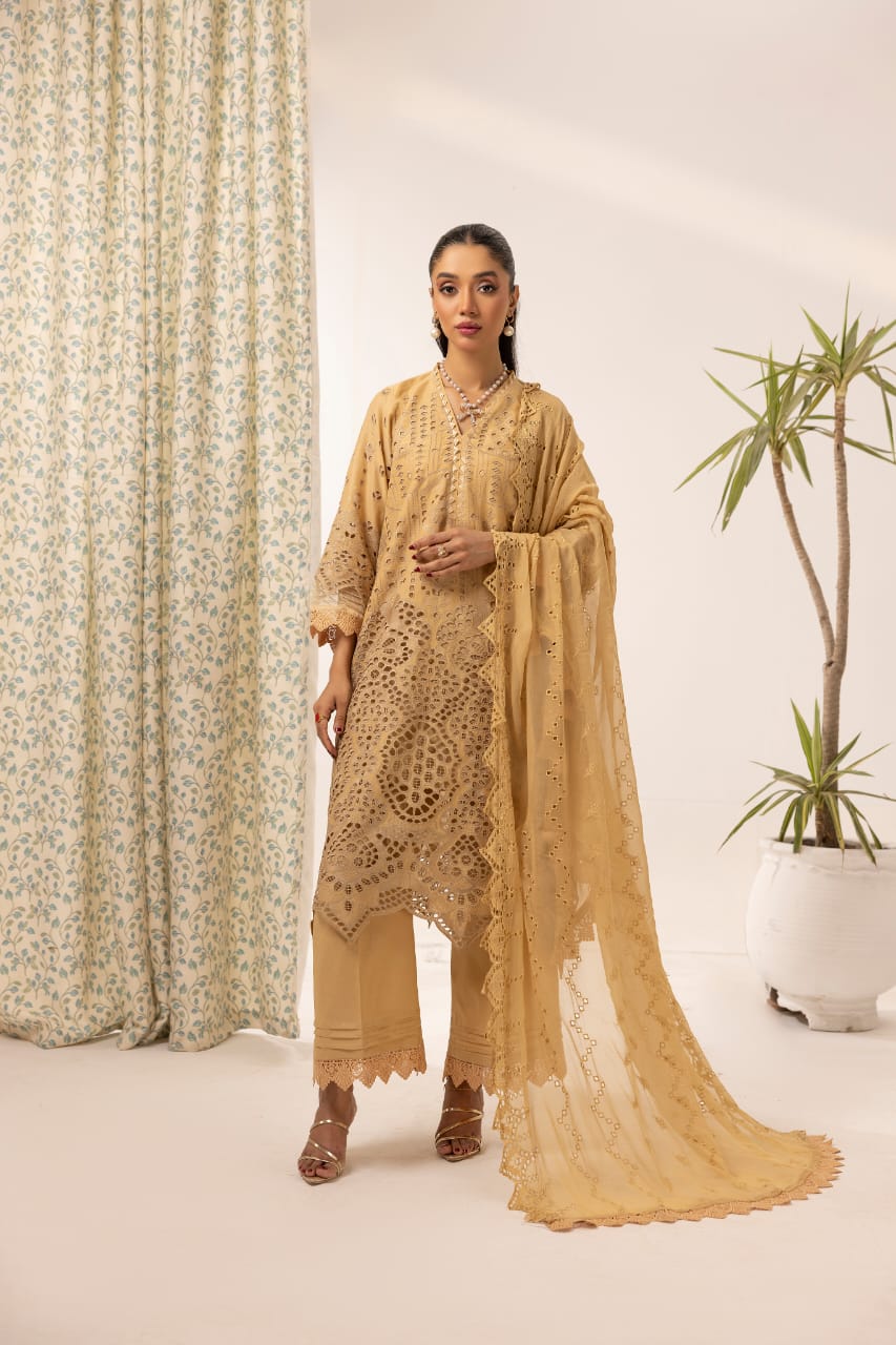 Raeen - Unstitched 3pc