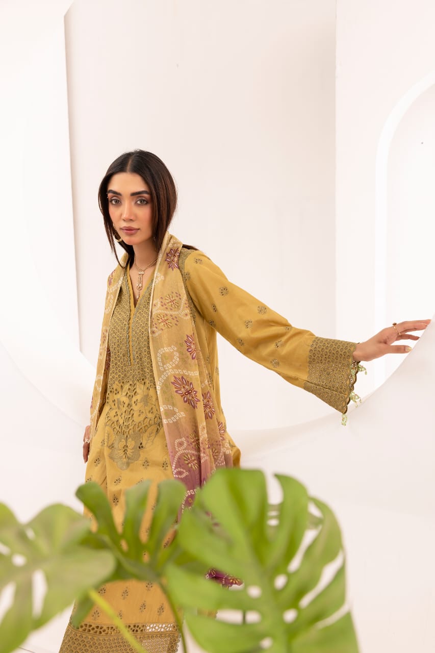 Avenza - Unstitched 3pc