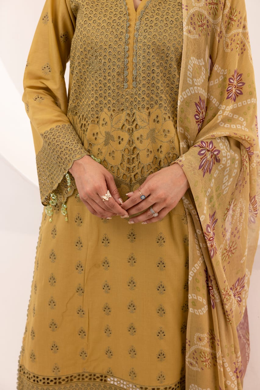 Avenza - Unstitched 3pc