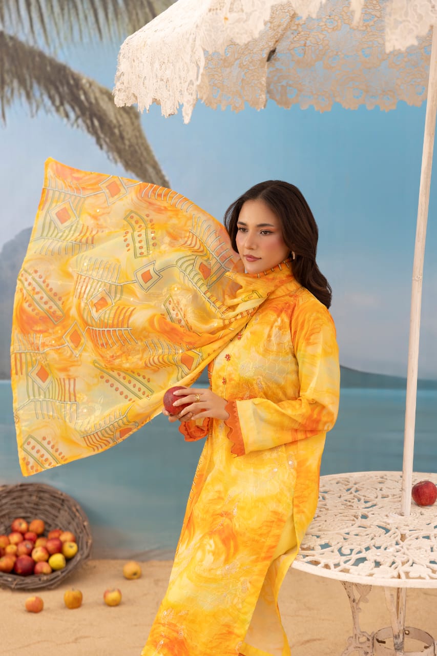 Sozni - Unstitched 3pc