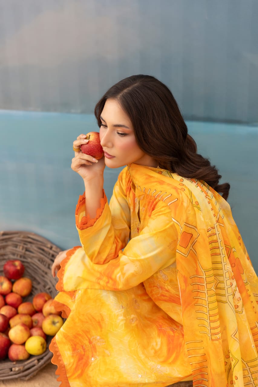 Sozni - Unstitched 3pc