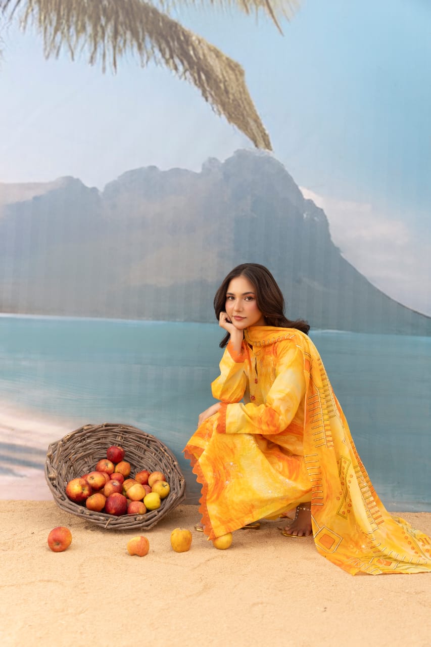 Sozni - Unstitched 3pc